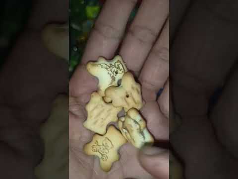 Teddy bear printed biscuit center filled chocolate flavour #shorts