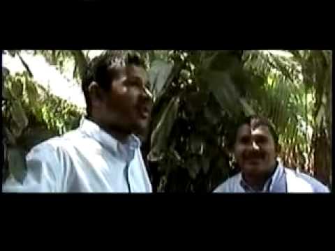 Dime agrupacion ALFA Y OMEGA DE HONDURAS