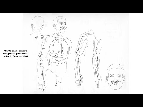 Canale principale di Intestino Crasso