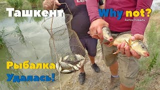 Рыбалка в узбекистане где клюёт