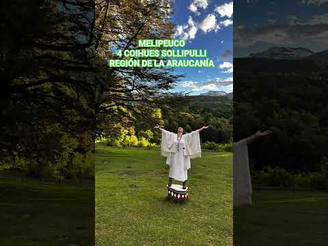Melipeuco 4 coihues sollipulli , Región de la Araucanía 9 años cultivando conexión .
