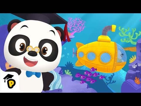 Leo's gele Onderzeeër | Leer basis wiskundeconcepten | Kinderfilmpjes | Dr.Panda TotoTime Nederlands