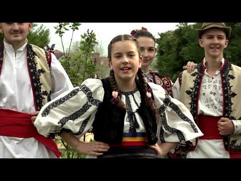 MARIA BORCEA - POTECUTA CU FLORI MULTE