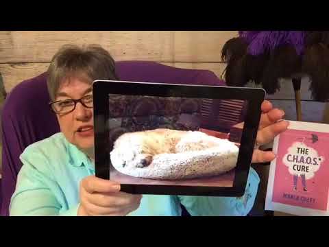 Day 13 Back to Basics