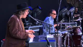 The Waterboys - The Whole of the Moon - Live at the Isle of Wight Festival 2014