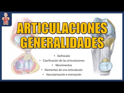 ANATOMÍA - ARTICULACIONES GENERALIDADES