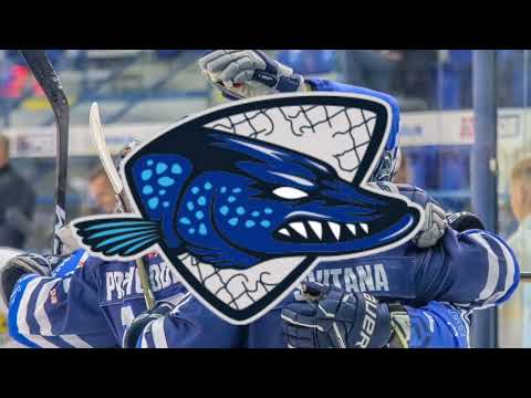 TIPOS SHL AQUACITY PIKES 2023/2024 GOAL HORN