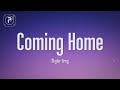 Skylar Grey - I'm coming home (Lyrics)