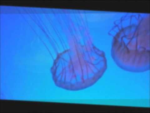 Amatue Valeria Lukyanova  - Medusa song