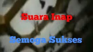 Download lagu Suara Inap Sweet Dream mp3