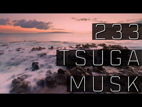 Mellifluence - 233 Tsuga Musk II - Tsuga Pine, 1960 Deer Musk & Ambergris - Natural Attar