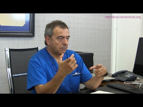 ¿Qué causa la esterilidad femenina? - Síntomas y tratamientos
