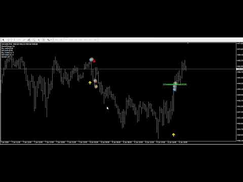 Video Golden Wolf Game Changer MT4