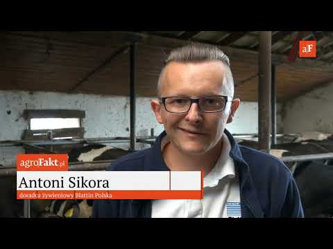 Jak dobrze przygotować TMR?