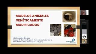 Conferencia Animales Transgenicos 13-03-2026_Parte 1
