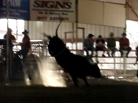 JW Hart's Dark Alley