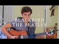 Blackbird Covered By Mark D