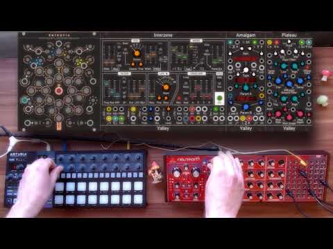 BeatStep Pro & VCV Rack & Neutron - Section 40 Degrees