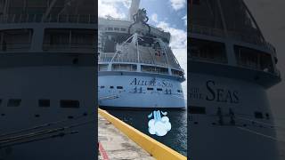 🤯UNBELIEVABLE... Cruise Ship Passengers Enjoying Cruise Trip #viewersloverviews #cruise #shorts