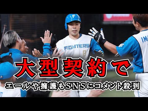 News 247 | 大型契約で鷹へ移籍の近藤健介へ誹謗中傷多数、エールや擁護もＳＮＳにコメント殺到