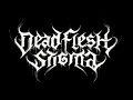 DEAD FLESH STIGMA "Necrocosmic Death Ritual" FULL ALBUM STREAM (Official)