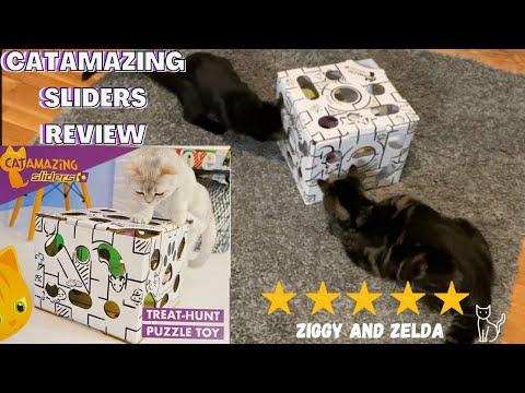 CATAMAZING SLIDERS REVIEW - Treat hunt puzzle toy-  Ziggy and Zelda