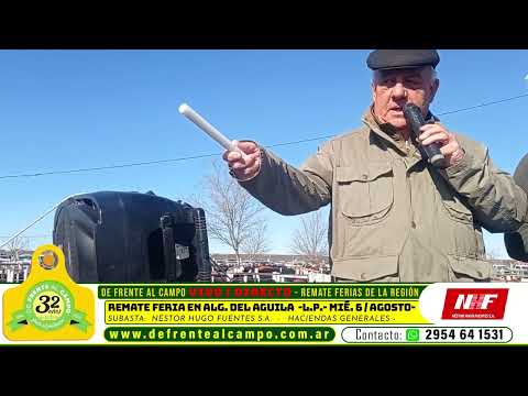 REMATE FERIA de NÉSTOR HUGO FUENTES S.A. - MIÉRCOLES 6 / JULIO / 2025 - ALGARROBO del ÁGUILA -L.P.-