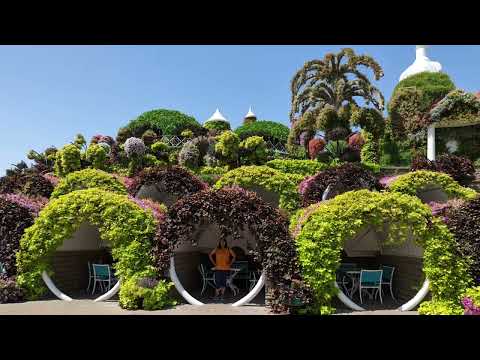 Title: 🌸✨ Happy Moments at Miracle Garden Dubai | A Floral Wonderland 🌺🌿