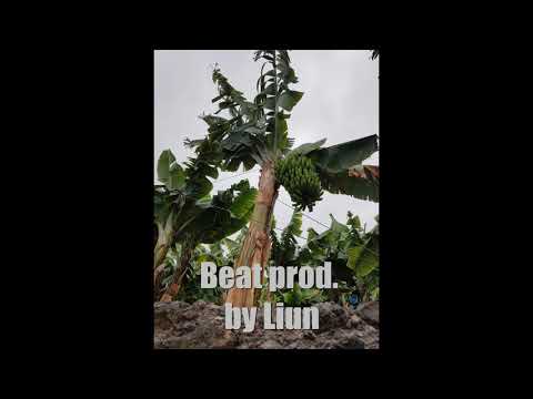 104. Liun Instrumental / Zoli Beatz - Rap Instrumental "Thug Fights" (Remixbeat)