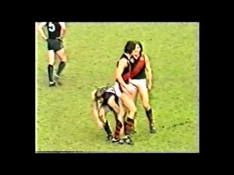 1981 Round 20 Carlton vs Essendon - Blues Highlights
