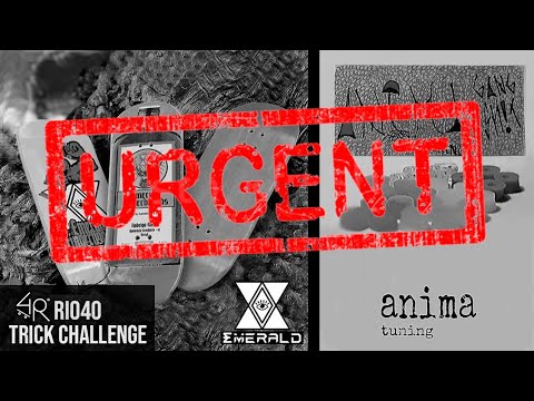 Resultado 5° Trick Challenge Rio40° Fingerboard