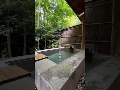 四季を感じる箱根の温泉宿｜ゆとりろ庵