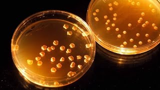 NASA Granted $200k/Year for Recycling Human Poop Into Food