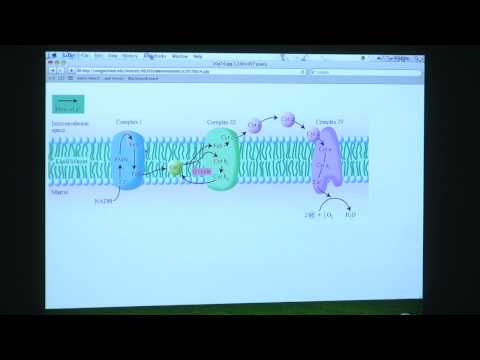 #30 BB 350 Glyoxylate cycle / Electron Transport / OxPhos - Kevin Ahern's Biochemistry Online