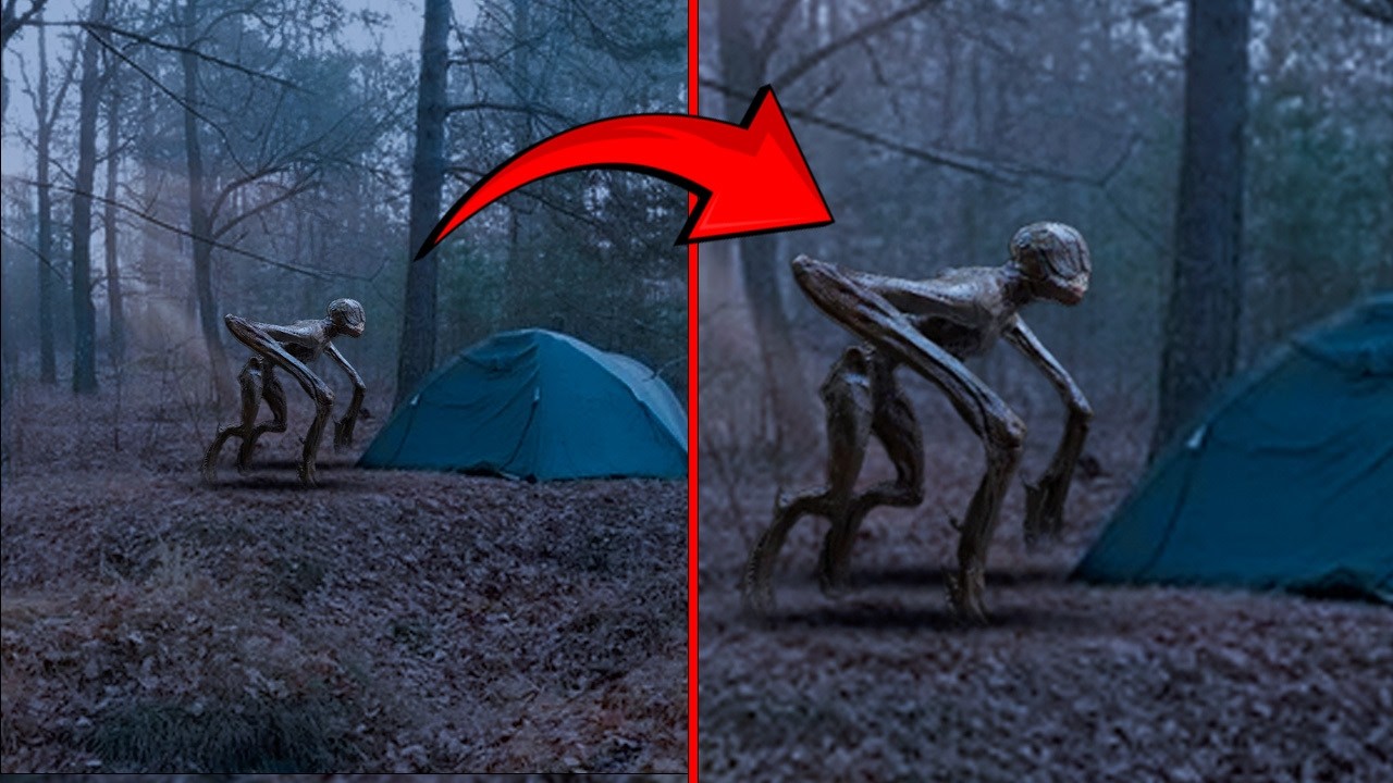 This Camper Recorded in the Woods; What No One Was Supposed to See