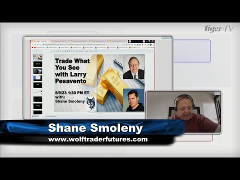 August 9th, Trade What You See with Larry Pesavento on TFNN - 2023