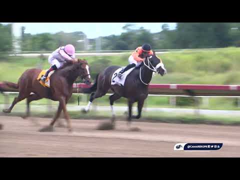 RACE 1 - AUGUST 31, 2025 (THE CONSISTENT - HALL OF FAMER)