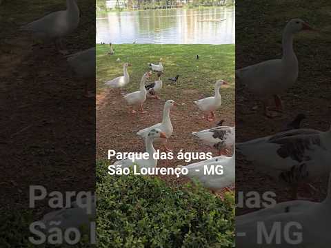 Parque das águas- São Lourenço  - MG | Por aí...
