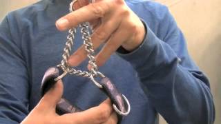 How To Size Martingale Dog Collars