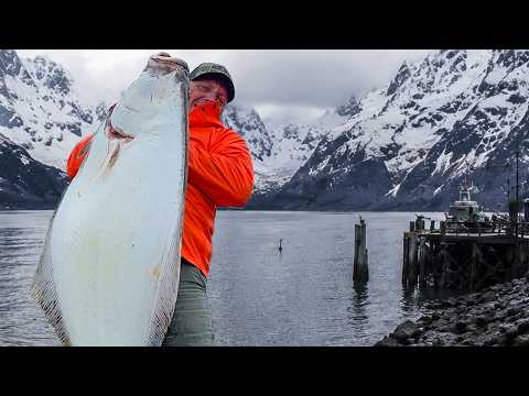 Huge Alaskan Halibut, Lingcod and Rockfish {Catch Clean Cook} Seward, Alaska
