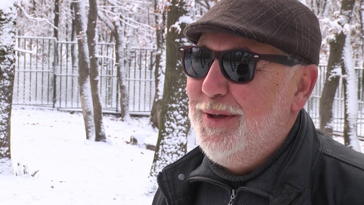 Събират естествени елхи за храна на животни в Зоокът Хасково