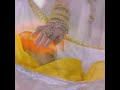 Mahakaali Ath Hi Aarambh Hai Kartikeya