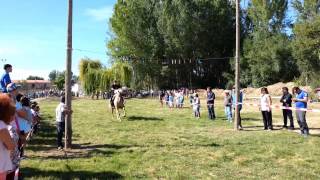 preview picture of video 'CARRERA DE CINTAS A CABALLO (Villaviciosa de la Ribera)'