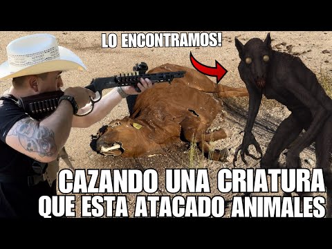 Buscando El Chupacarba