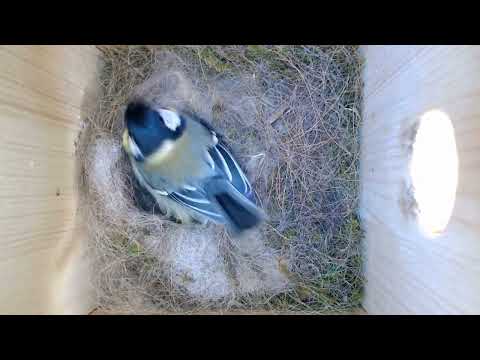 2022 05 31 Tatsächlich - noch eines dazu.