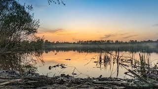 L'UNIVERS DE BRESLEV