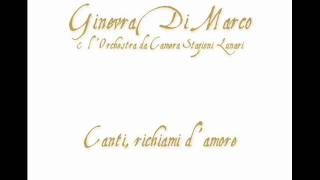 Ginevra Di Marco - Brace