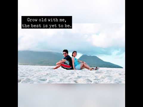 𝙴𝚟𝚎𝚛𝚢𝚝𝚒𝚖𝚎 - 𝙲𝚑𝚎𝚗𝚇𝙿𝚞𝚗𝚌𝚑 𝙳𝚎𝚜𝚌𝚎𝚗𝚍𝚊𝚗𝚝𝚜 𝚘𝚏 𝚝𝚑𝚎 𝚂𝚞𝚗 𝙾𝚂𝚃 🎶♡