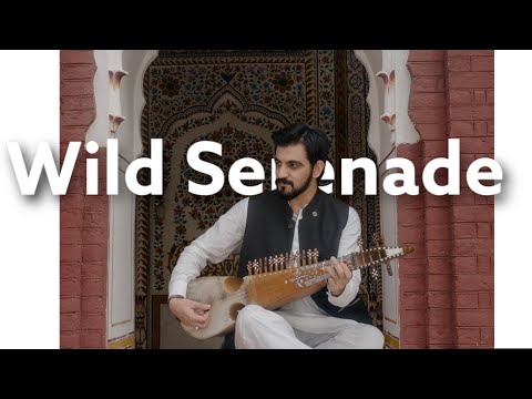 Wild Serenade (Rabab) | Nature’s Harmony through Rabab | @zeeshandhanani
