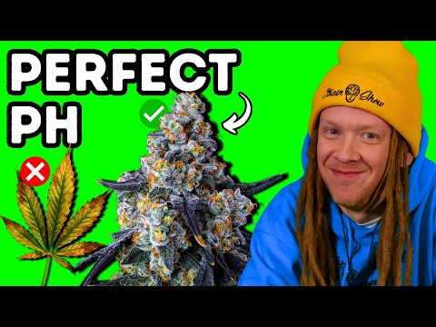 Struggling With pH? Here's Why